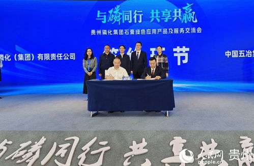 贵州磷化集团举办石膏绿色应用产品及服务交流会，推动产业升级与文化艺术交流